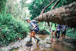 BIB: 
                            <button type="button" onclick="openModal(25375150)" class="btn btn-primary btn-sm float-right btn-popup" data-toggle="modal" data-target=".modal-high-quality">
                        <i class="fas fa-shopping-cart"></i> Add to Cart
                    </button>
                                            <button type="button" onclick="isThisMe(25375150, true)" class="btn btn-success btn-sm float-right btn-popup btn-isme hidden" data-toggle="tooltip" data-placement="bottom" title="นี่คือรูปของคุณใช่ไหม คลิกที่นี่เพื่อเอาเข้าอัลบั้ม">
                        <i class="fas fa-plus"></i> Add to album
                    </button>
                    <button type="button" onclick="isThisMe(25375150, false)" class="btn btn-warning btn-sm float-right btn-popup btn-isnotme hidden">
                        <i class="fas fa-ban"></i> Remove from album
                    </button>